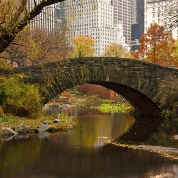 Тестова стаття в загальні новини сайту